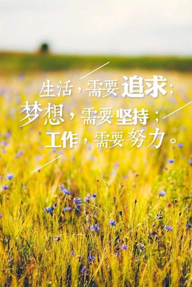 早安人生哲理的心情语录,句句精辟透彻