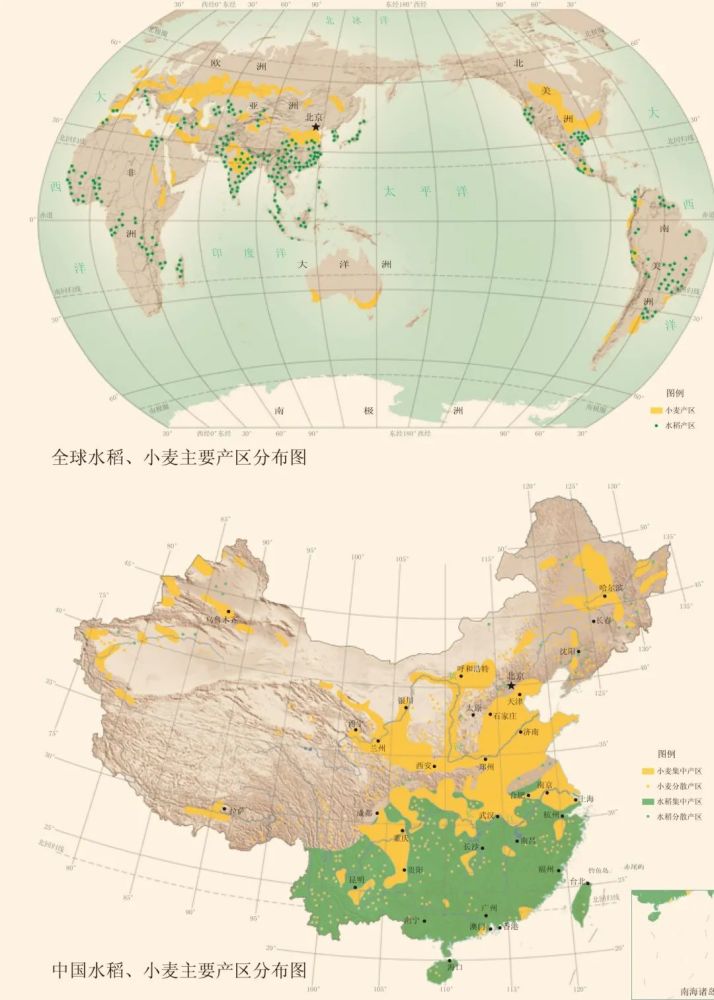 杂交水稻,如何改变中国与世界?_腾讯新闻