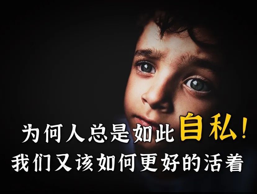人为何如此自私?我们又该如何更好的活下去?