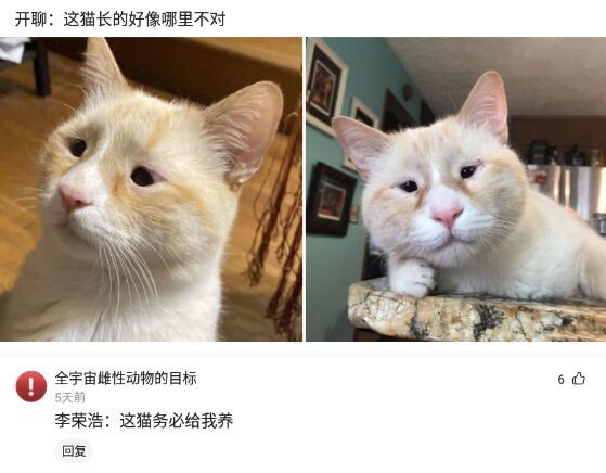 神评论:七步之内,拳头真的比枪快吗?|搞笑