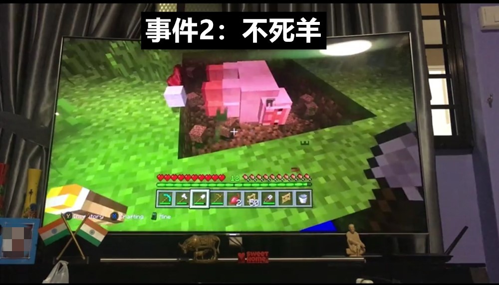 而且羊不仅有羊毛,还有羊肉,羊角,可以说是《我的世界》羊是万能来源