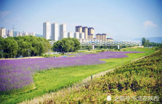 绿色串联人文胜景,三河一山营造大美西安|绿道|蓝田县