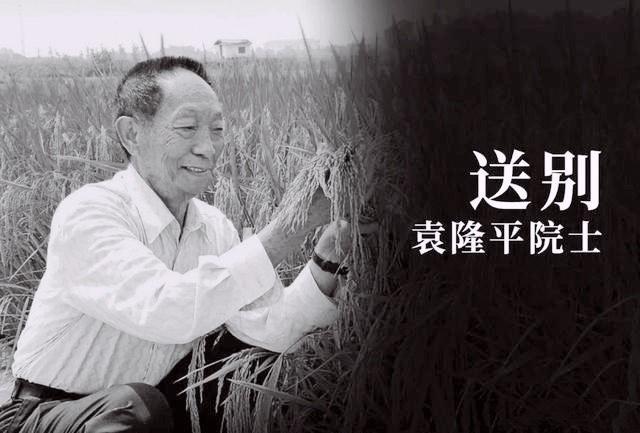 送别袁老从一粒米开始接力与传承