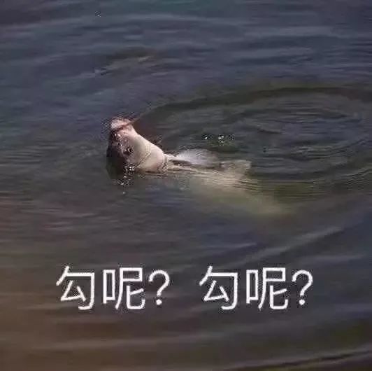 沙雕表情包头像