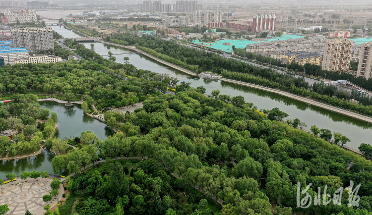 河北宣化:"万柳盛景"今在万柳公园