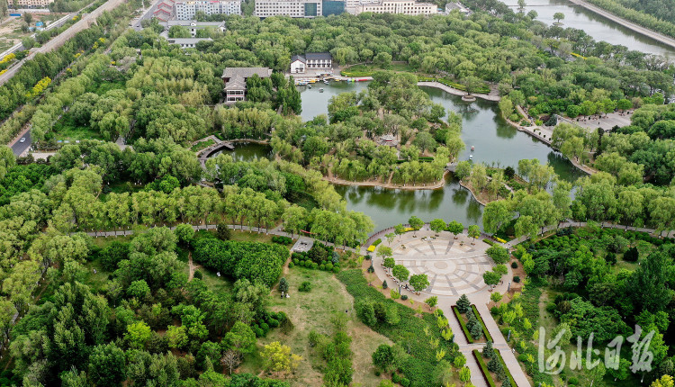 河北宣化:"万柳盛景"今在万柳公园
