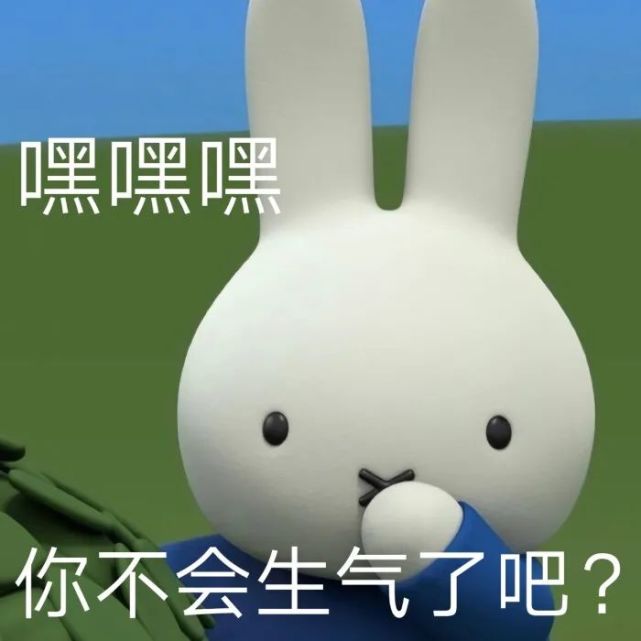 最近有点火的米菲表情包