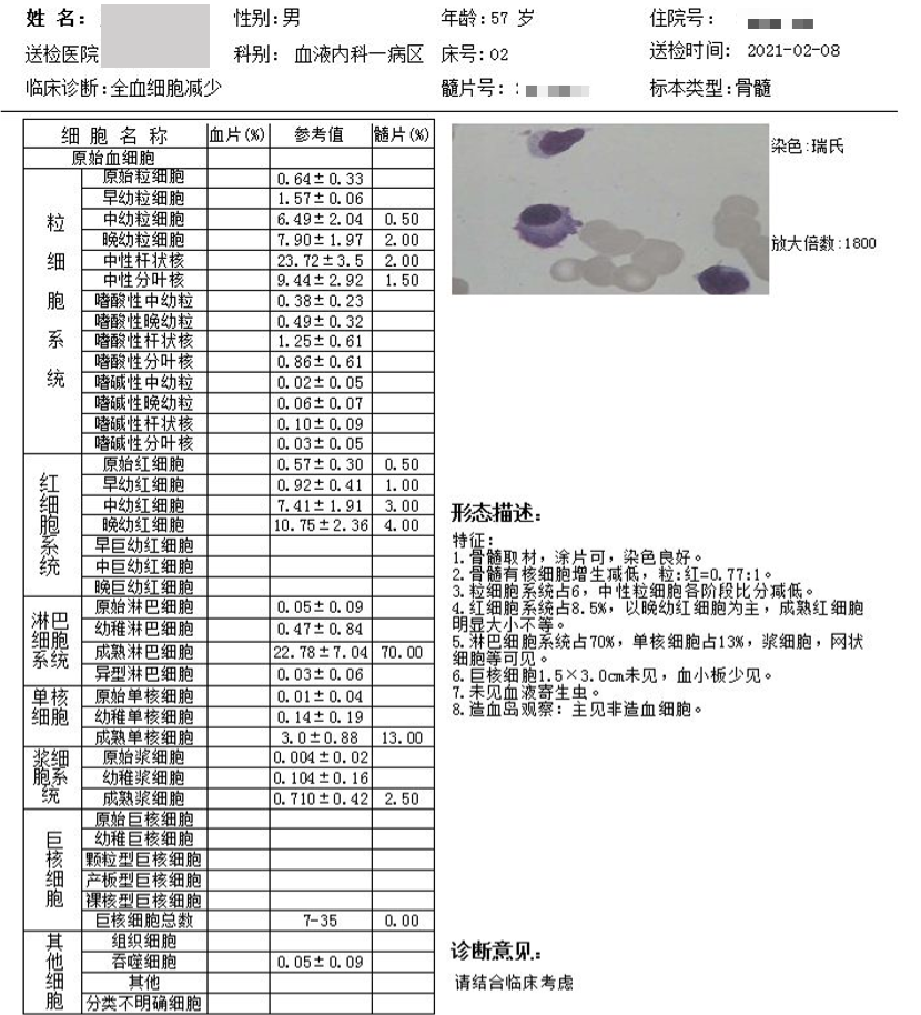 而且这次同时送检的骨髓活检组织 骨髓活检结果如下