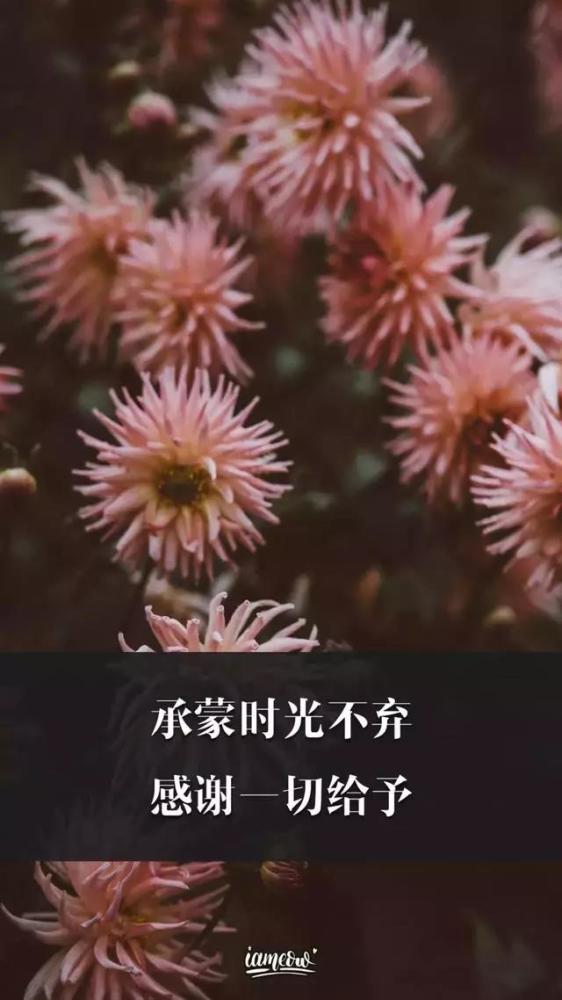 夜深人静时的心情说说,深夜失眠感悟人生的句子