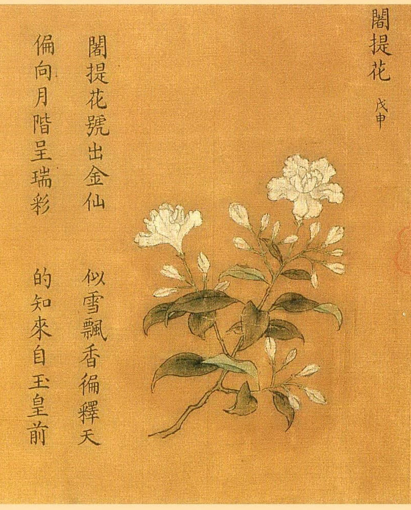 『馆藏珍萃』杨婕妤《百花图卷》,典型的南宋院体画