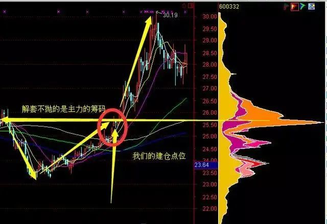 中国股市最赚钱的只有一种人:全靠筹码分布战法,追踪主力资金建仓,再