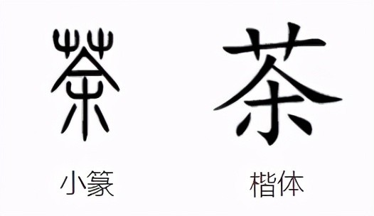 国锋练字:茶字的字义与写法