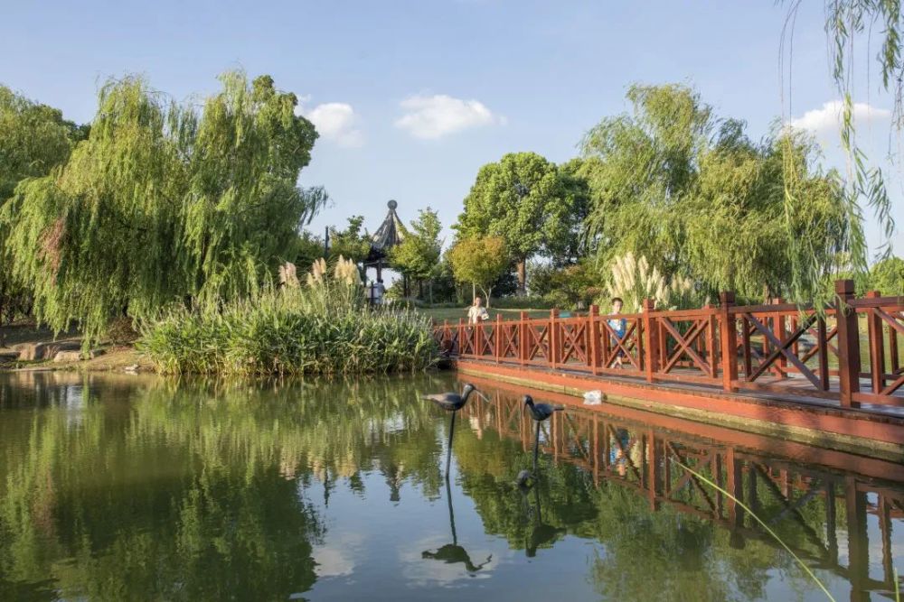 走进距离粮库浜几公里外的菉葭生态园,目力所及湖水清冽,岸边郁郁葱葱