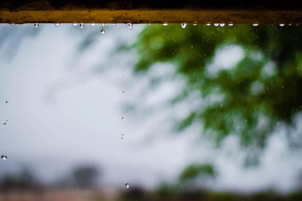 25.滞雨通宵又彻明,百忧如草雨中生.——薛彻《长安夜雨》