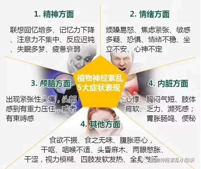 植物神经功能失调 腾讯网