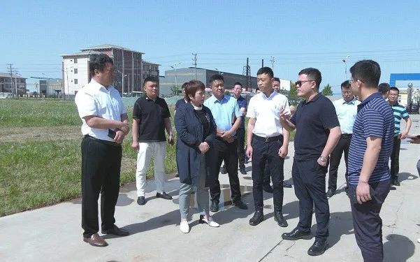 任秋彦调研督导开发区规划建设和企业项目建设工作