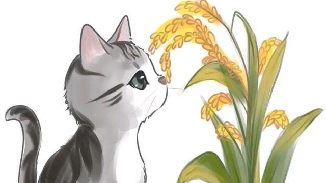 让人泪目的漫画:袁隆平爷爷领养的猫咪,眼含泪水依依不舍