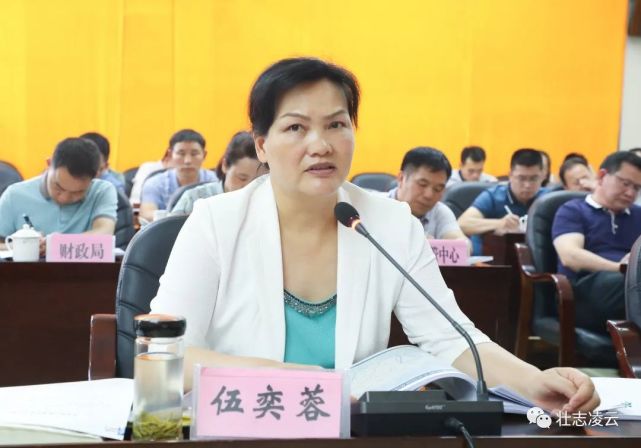 百色市政协副主席,凌云县委书记伍奕蓉,县长莫庸,县政协主席岑景蔚等