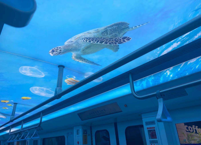 厦门地铁3号线主题列车亮相,乘地铁游"海底世界"