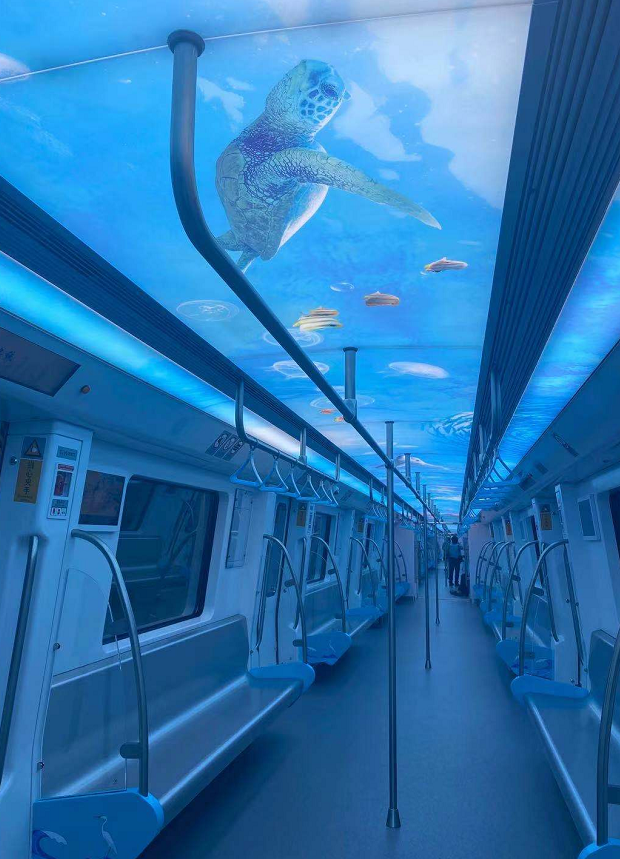 厦门地铁3号线主题列车亮相,乘地铁游"海底世界"