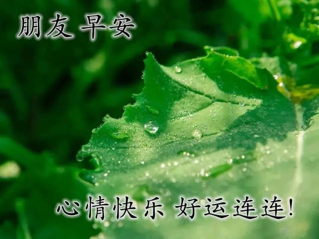早上好朋友非常漂亮的早上好祝福图片,早安问候祝福语