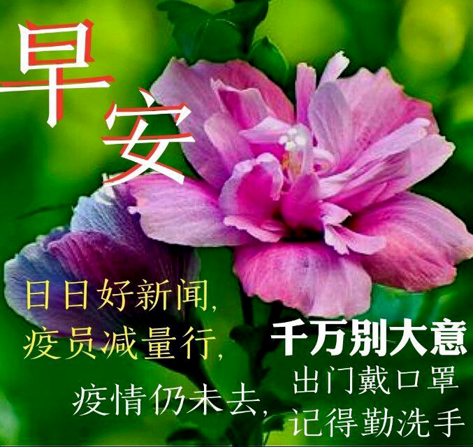 8张最新创意免打字就可以聊天的早安图片 清早问候大家的早上好的漂亮
