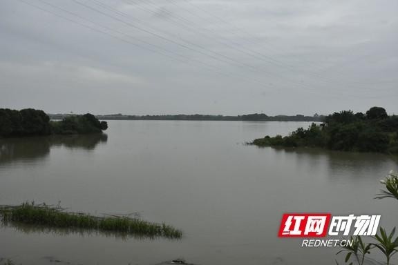 刘志雄 沅江市融媒体中心记者 钟祖彪)5月25日,红网时刻记者从沅江市