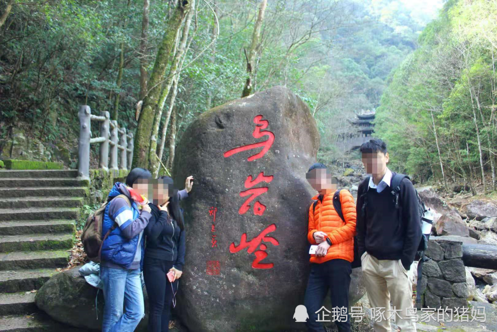 泰顺乌岩岭白云尖爬山记