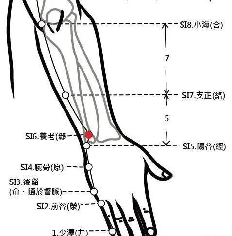 养老穴——一个神奇的穴位(图解养老穴)