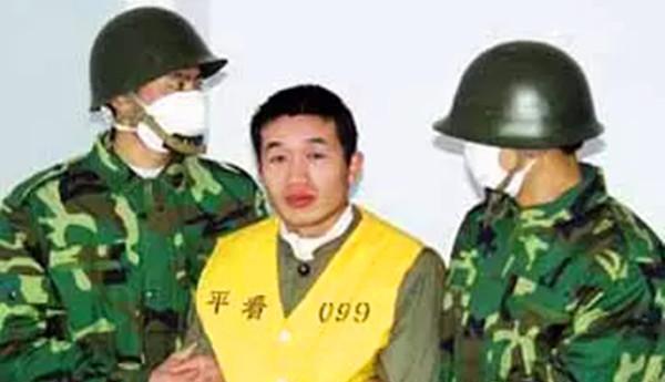 在河南省平舆县发生了一系列故意杀人案,案件的制造者就是一个怀着 "