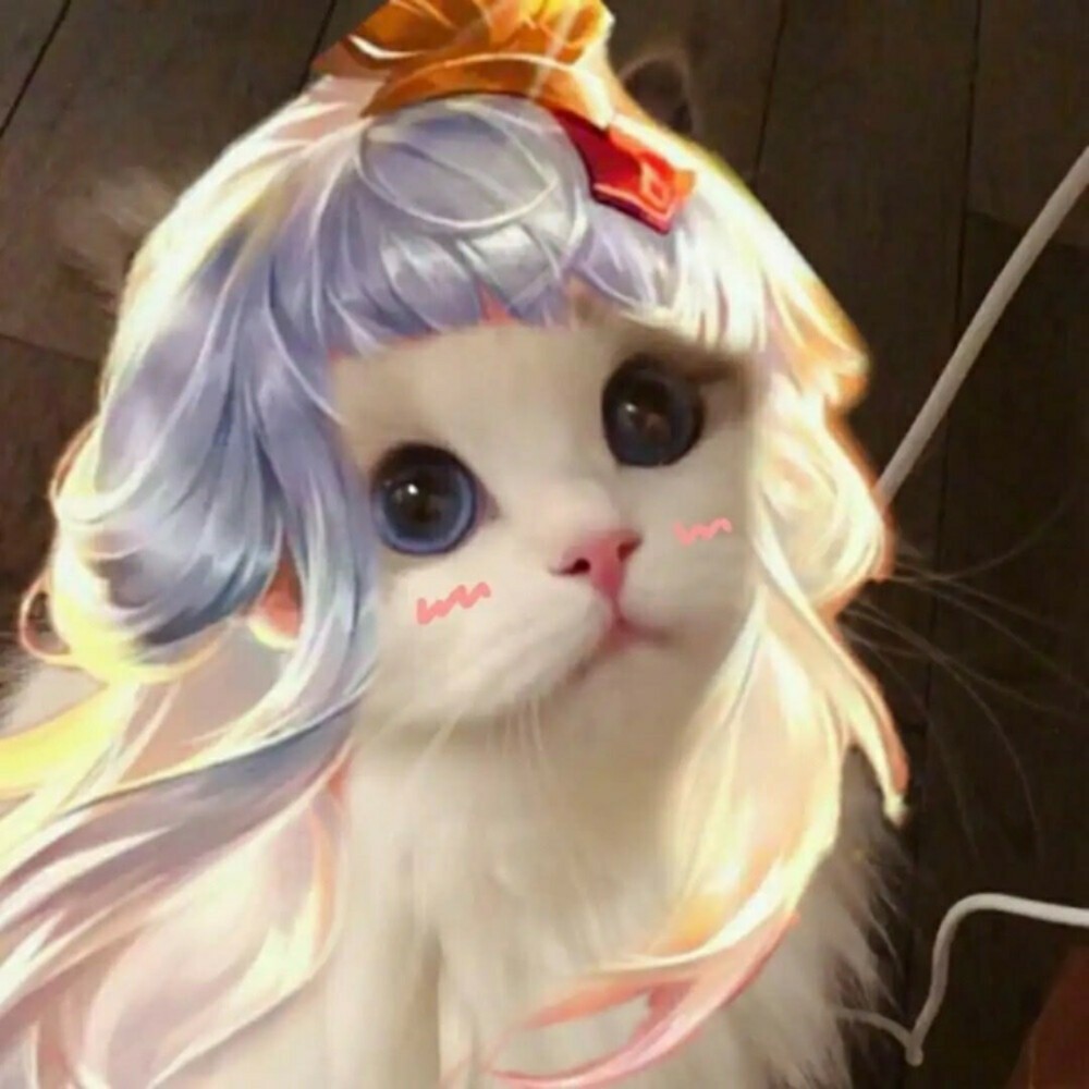 王者小猫头像第二弹瑶瑶我抱走了剩下的你们分