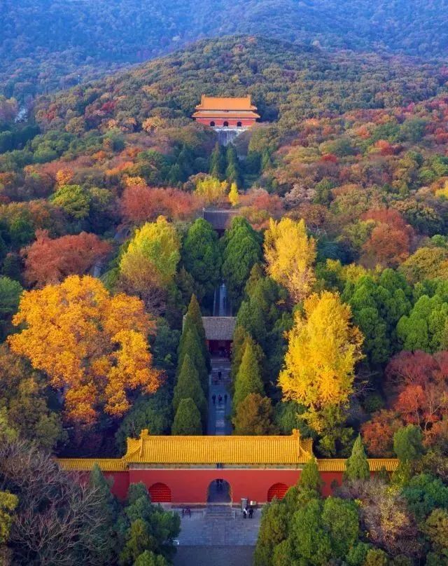 畅游南京,钟山风景区,中华城中人文第一山