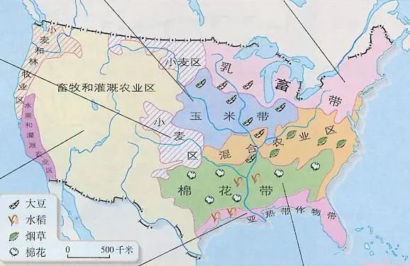 正是仰赖着农业技术的发达,美国用1500万的农业人口养活了3亿多人口