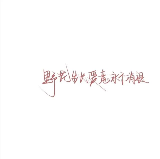 文字背景图 图源网络