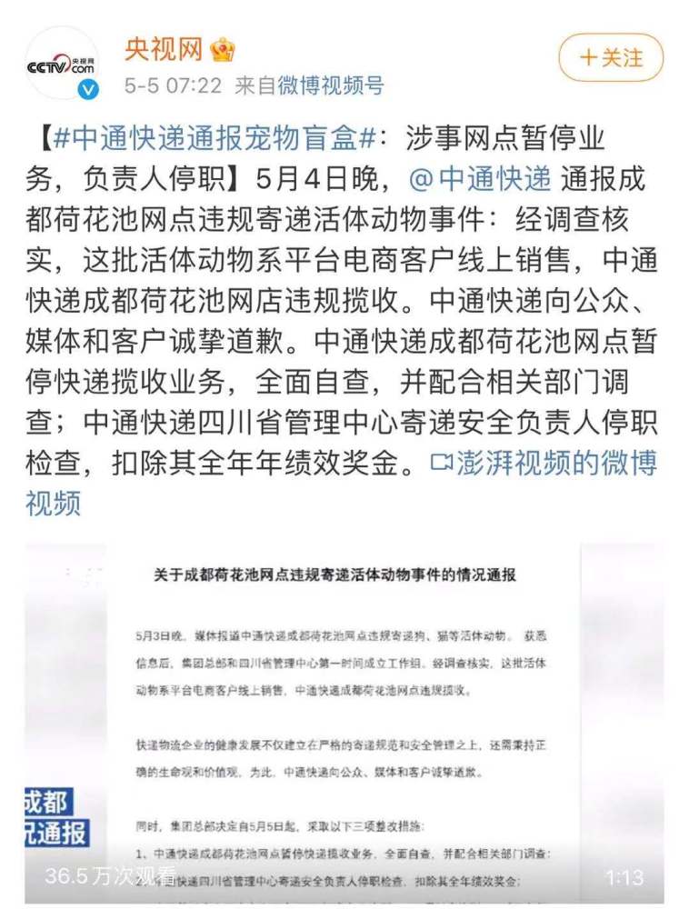 三亚宠物快递公司