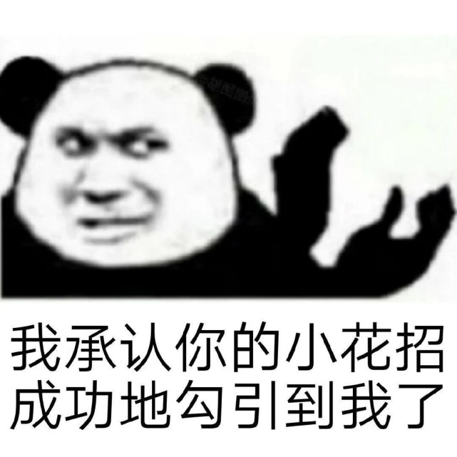 优质表情包:看透爱情看透你