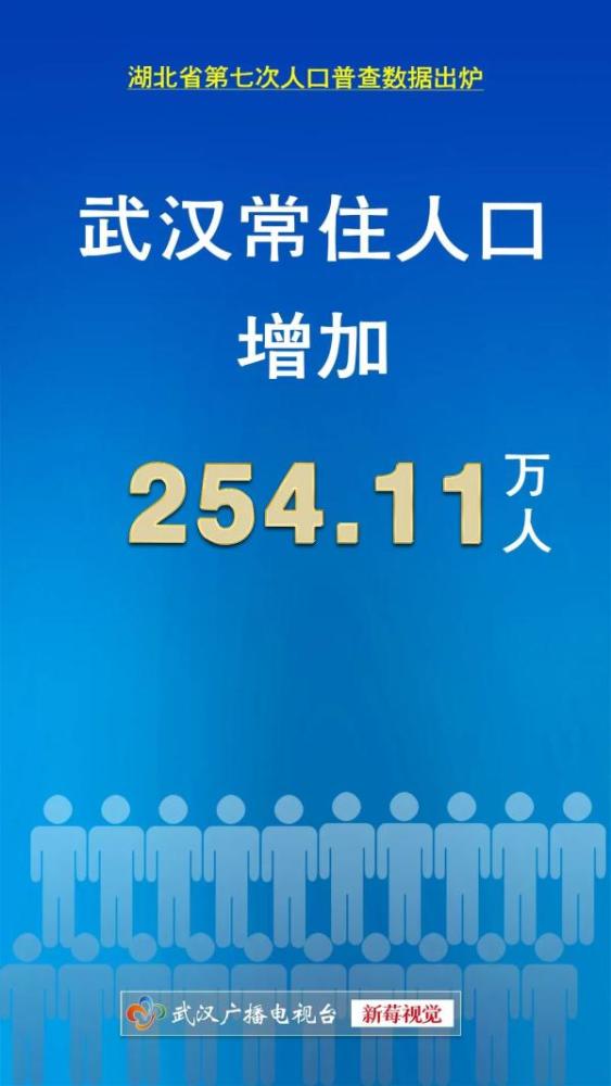 2020年度人口统计_经济收入人口统计2020