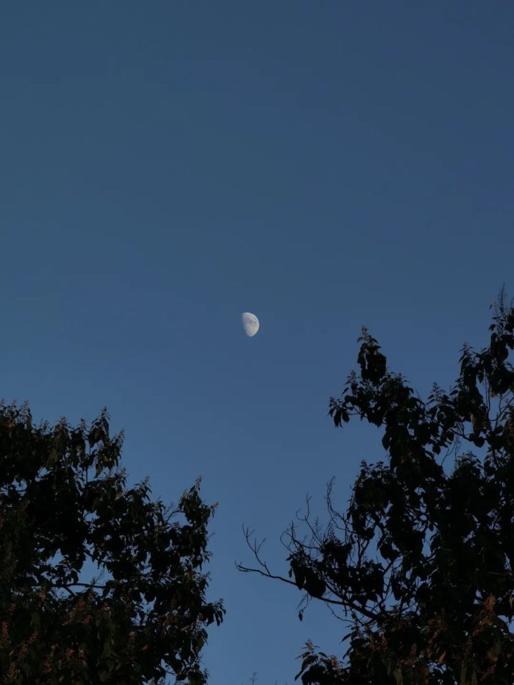 今晚月全食超级月亮来了教你用手机拍惊艳的月亮