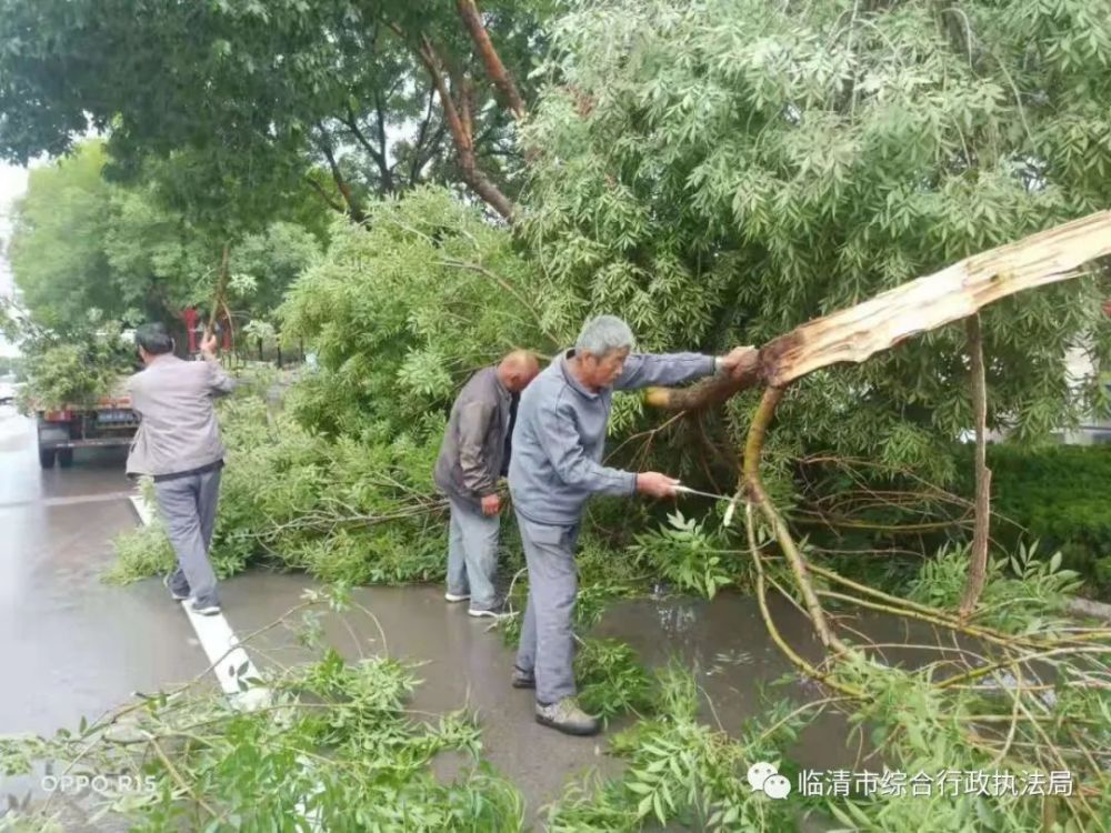 临清市综合行政执法局积极应对突发恶劣天气 全力消除