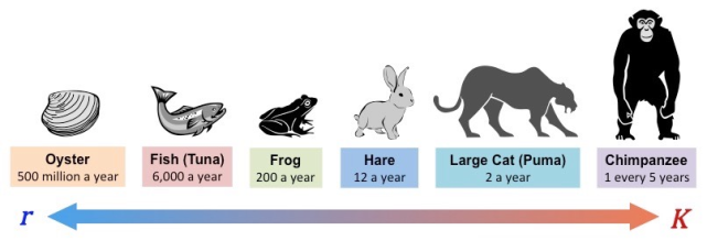 Meet the tsetse fly, the supermom of the insect world - Advanced Science  News