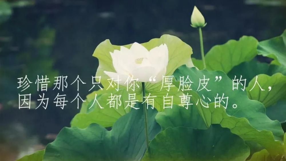 朋友圈走心的心情说说语句 适合发朋友圈的说说心情句子