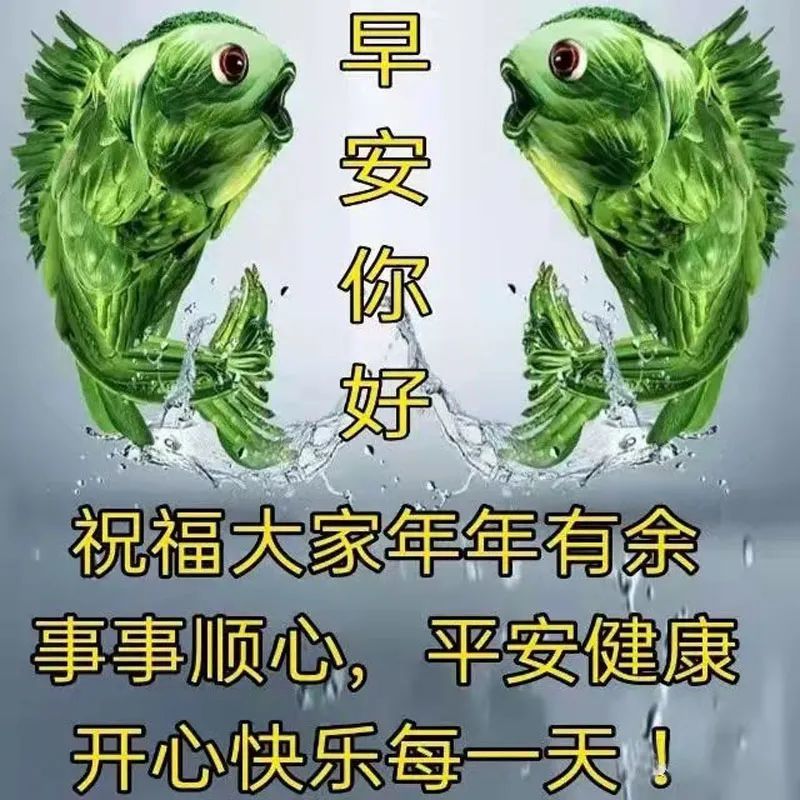 花儿四季含香, 友情永远珍藏, 问候天天不变, 祝福念念不忘! 安康!