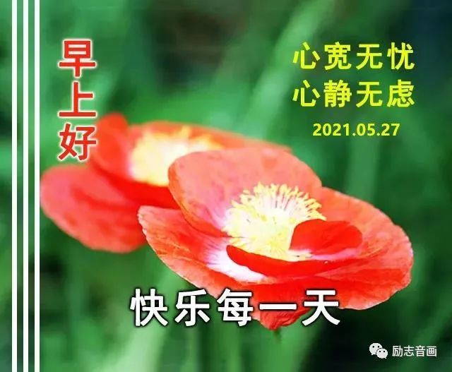 【高雅 清新祝福图片,养眼养心】