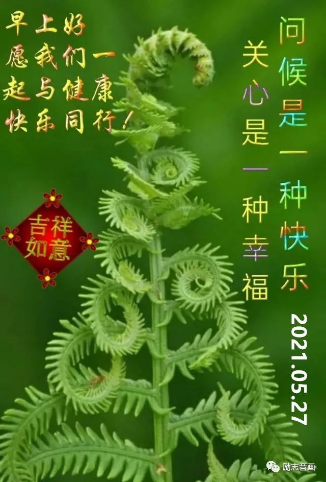 【高雅 清新祝福图片,养眼养心】