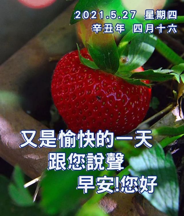 早上好祝福语 早上好问候语 早安图片