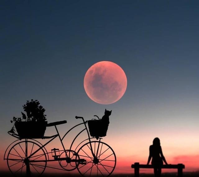 深夜发朋友圈的心情句子,句句穿心,说到心坎里!