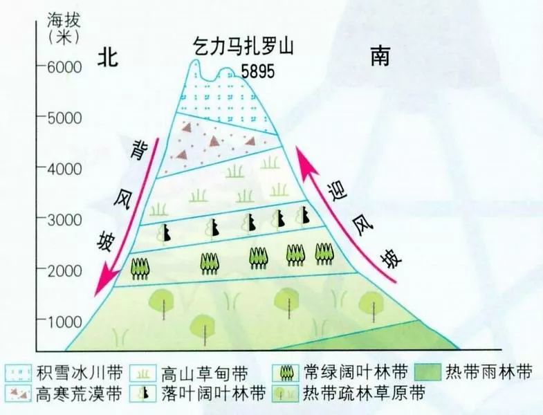 【考向预测】从林线到雪线,再到垂直地域分异规律的考点,我给你整理全