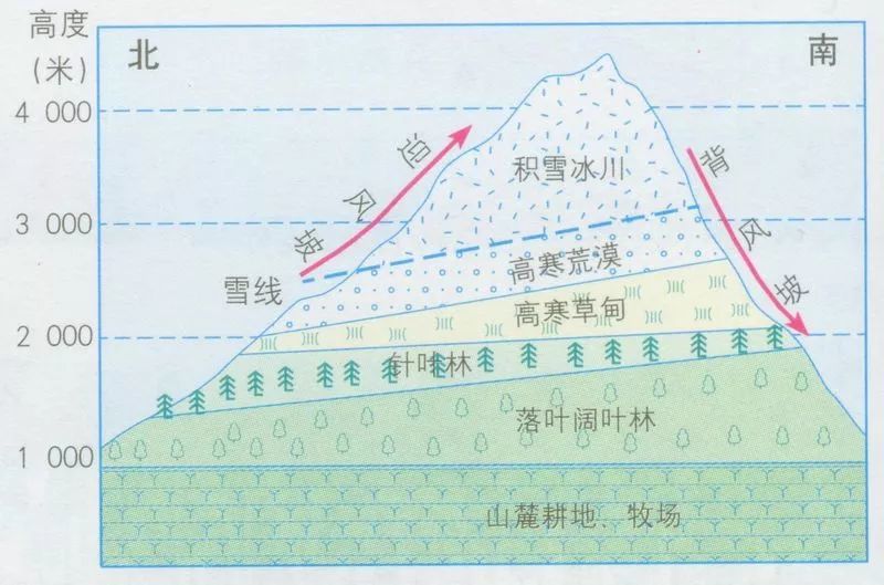 该处多受来自大西洋的西南风的影响,降水量较多;而山脉的南坡为阳坡