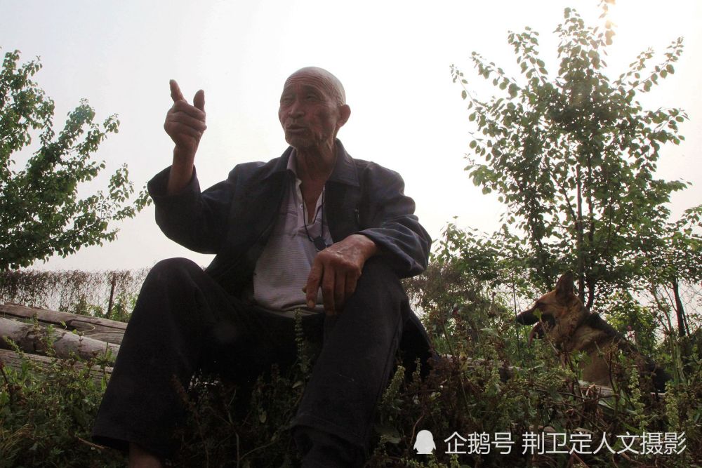 山西农民大爷家有狼狗保镖,能护卫会赚钱,2万不卖