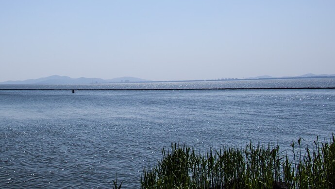 太湖也是长三角人共同的太湖,太湖沿岸有江苏的苏州,无锡,常州,浙江的